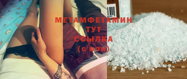 индика Бронницы