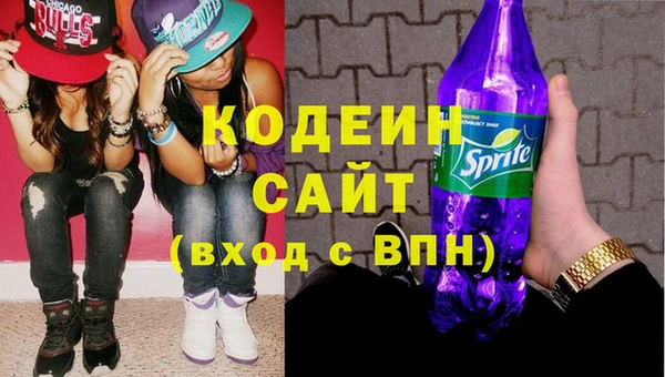 индика Бронницы