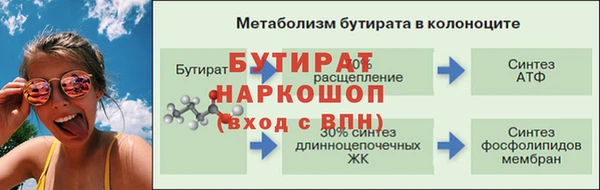 дурь Бородино