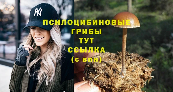 прущие грибы Богородск
