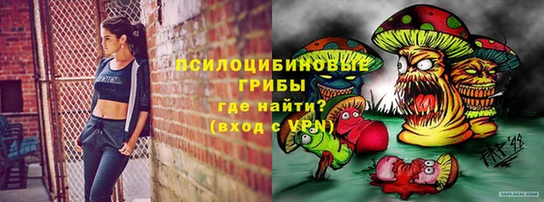 дурь Бородино