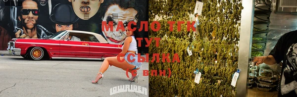 прущие грибы Богородск