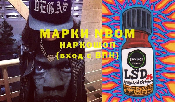 индика Бронницы