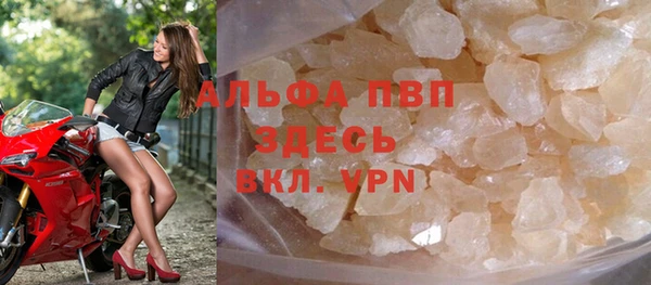 прущие грибы Богородск