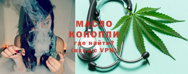 индика Бронницы